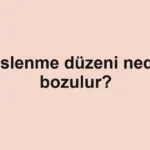 beslenme-duzeni-neden-bozulur